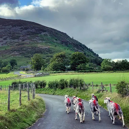Middle Farm *